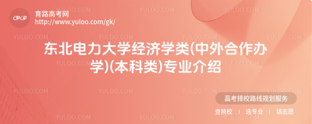 東北電力大學(xué)經(jīng)濟(jì)學(xué)類(中外合作辦學(xué))(本科類)專業(yè)介紹