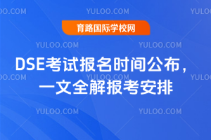 2026DSEԇrgһȫ󿼰