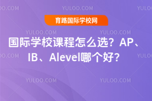 (gu)HW(xu)УnôxAPIBAlevelĂ(g)