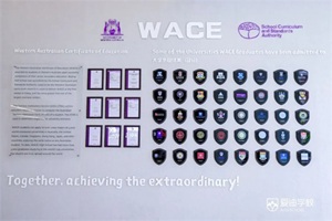 (i)WACEإһdx܌W(xu)Ӕث@¼피У21Offer!