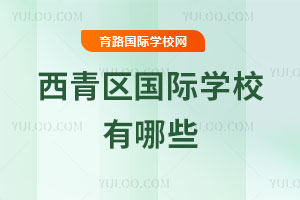 西青區(qū)國(guó)際學(xué)校有哪些