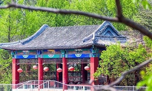 橘郡國際學校(北京校區(qū))