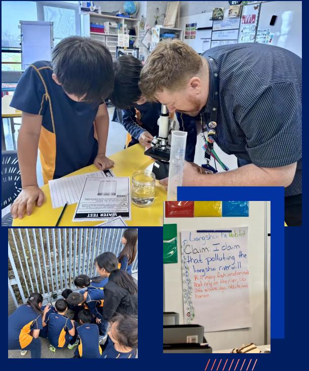 ҫA(gu)HW(xu)УfУ^(q)ƌW(xu)n