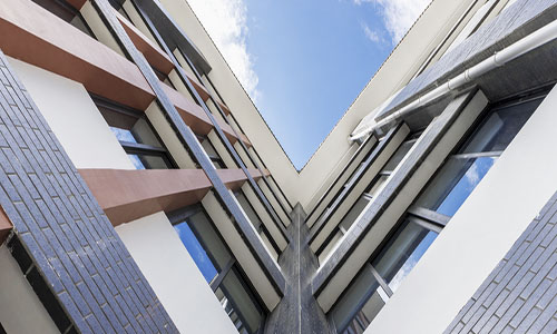 ɽ|ˎƷʳƷI(y)W(xu)Ժ