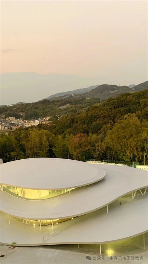 中育貝拉藝術(shù)升學(xué)路徑