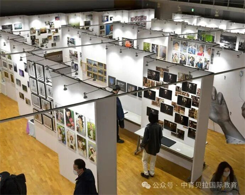 中育貝拉藝術(shù)升學(xué)路徑