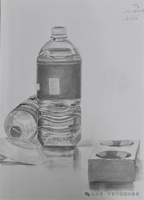 中育貝拉藝術(shù)升學(xué)路徑