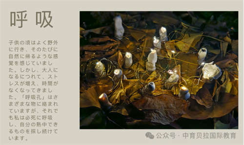 中育貝拉藝術(shù)升學(xué)路徑