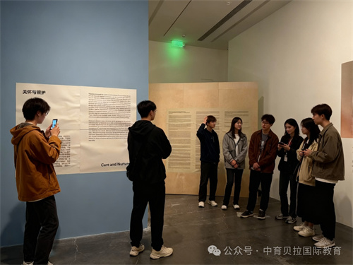 中育貝拉藝術(shù)升學(xué)路徑