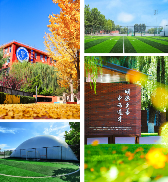 ¸W(xu)ZW(xu)У11У@_