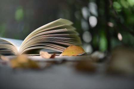 北京中考特長(zhǎng)生報(bào)名