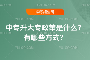 Ќ(zhun)(zhun)ʲôЩʽ